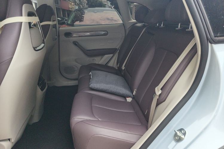 Used Leapmotor C11 2024 Range-Extended 300 Luxury Edition Left Rear Seat