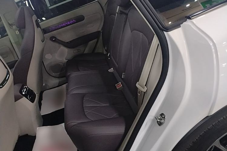 Used Leapmotor C11 2024 All-Electric 580 Luxury Edition Left Rear Seat