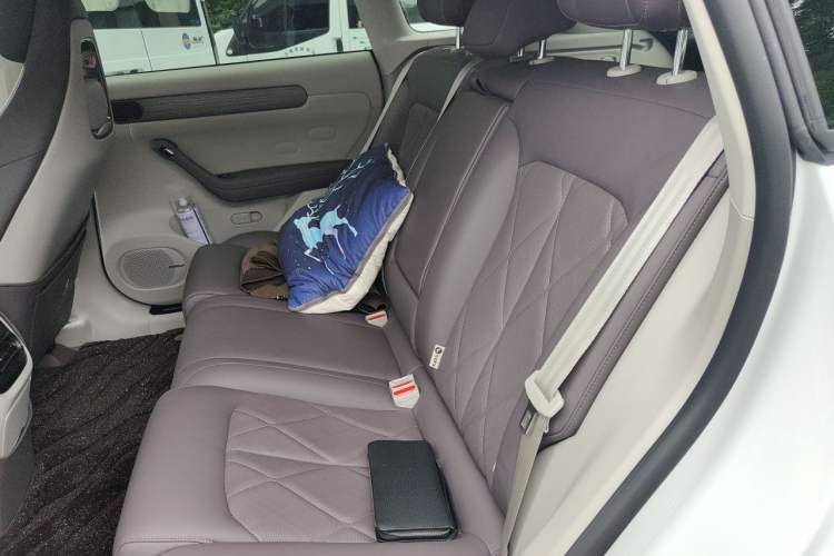 Used Leapmotor C11 2024 All-Electric 580 Luxury Edition Left Rear Seat