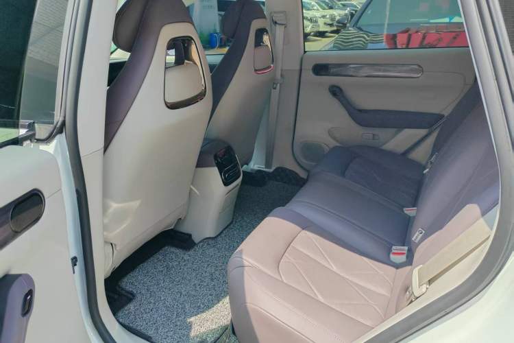 Used Leapmotor C11 2024 Range-Extended 300 Luxury Edition Left Rear Seat