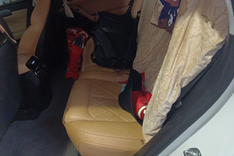 Used Leapmotor C11 2024 All-Electric 580 Luxury Edition Left Rear Seat