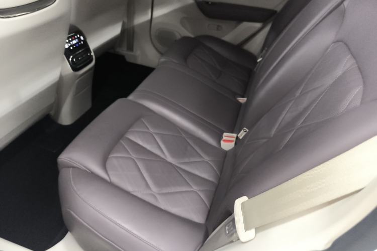 Used Leapmotor C11 2024 Range-Extended 300 Luxury Edition Left Rear Seat