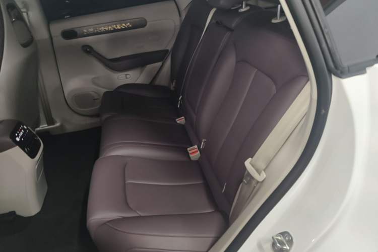 Used Leapmotor C11 2024 All-Electric 580 Luxury Edition Left Rear Seat