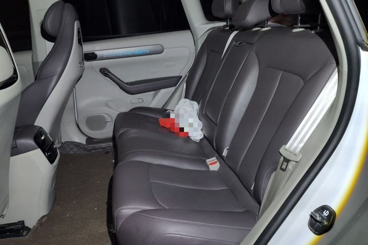 Used Leapmotor C11 2024 All-Electric 580 Luxury Edition Left Rear Seat