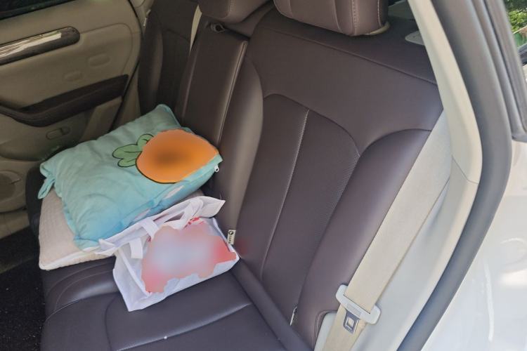 Used Leapmotor C11 2024 Range-Extended 300 Luxury Edition Left Rear Seat