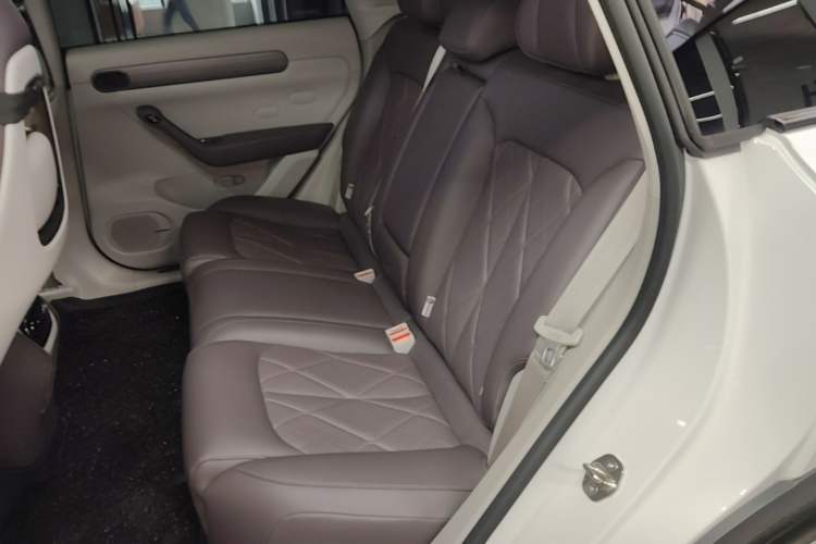 Used Leapmotor C11 2024 All-Electric 580 Luxury Edition Left Rear Seat