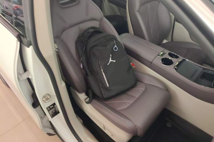 Used Leapmotor C11 2024 All-Electric 580 Luxury Edition Right Front Seat