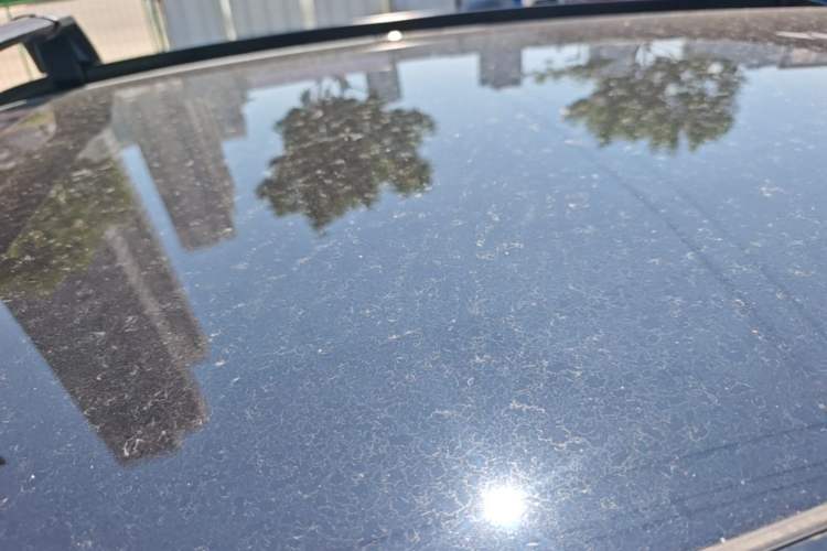Used Leapmotor C11 2024 All-Electric 580 Luxury Edition Roof