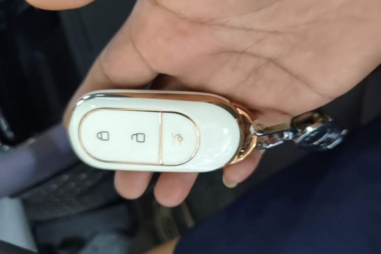Used Leapmotor C11 2024 Range-Extended 300 Luxury Edition Vehicle Key