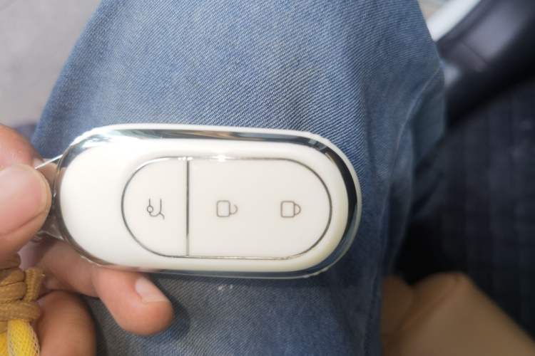 Used Leapmotor C11 2024 Range-Extended 300 Luxury Edition Vehicle Key