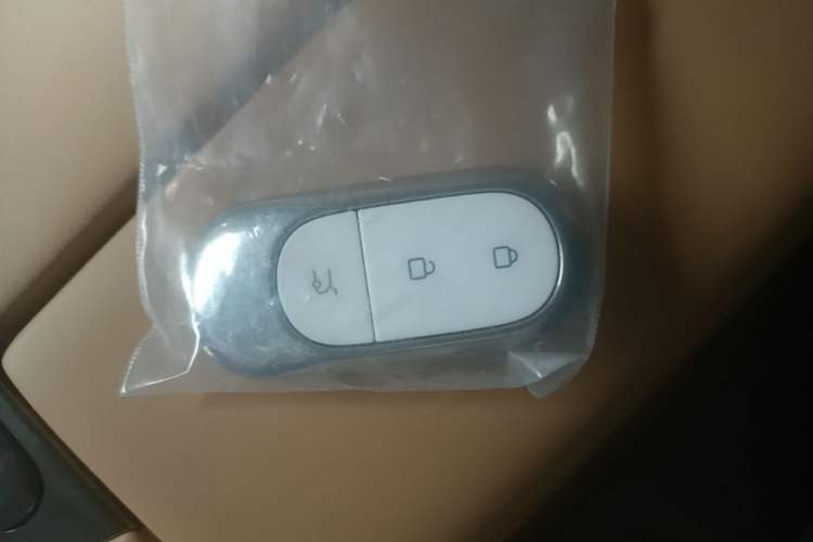Used Leapmotor C11 2024 All-Electric 580 Luxury Edition Vehicle Key