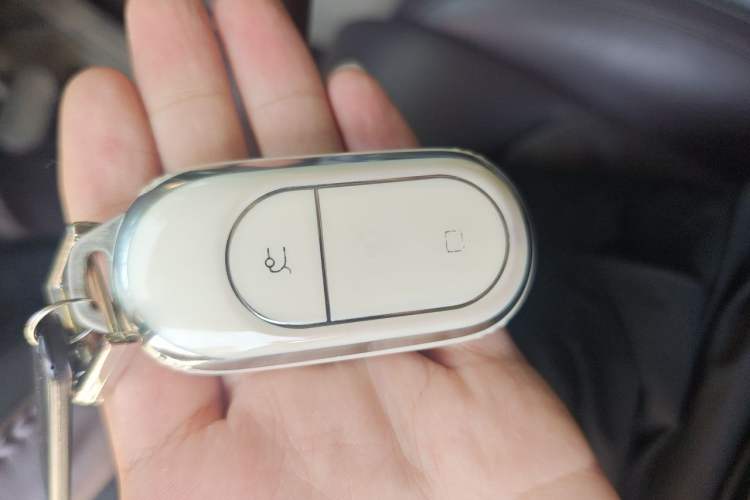 Used Leapmotor C11 2024 Range-Extended 300 Luxury Edition Vehicle Key