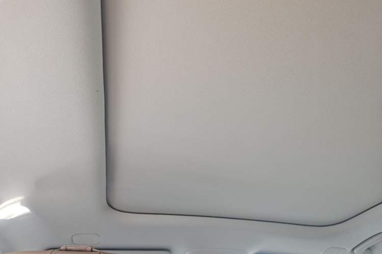 Used Leapmotor C11 2026 Range-Extended 300 LiDAR Prestige Edition Headliner