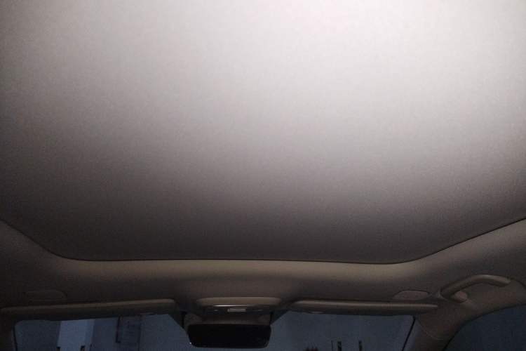Used Leapmotor C11 2026 All-Electric 640 LiDAR Prestige Edition Headliner