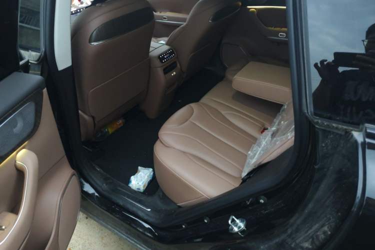 Used Leapmotor C11 2026 Range-Extended 300 LiDAR Prestige Edition Left Rear Seat