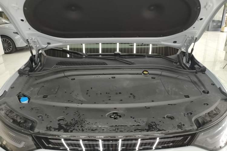 Used Leapmotor C11 2026 All-Electric 640 LiDAR Prestige Edition Engine Bay