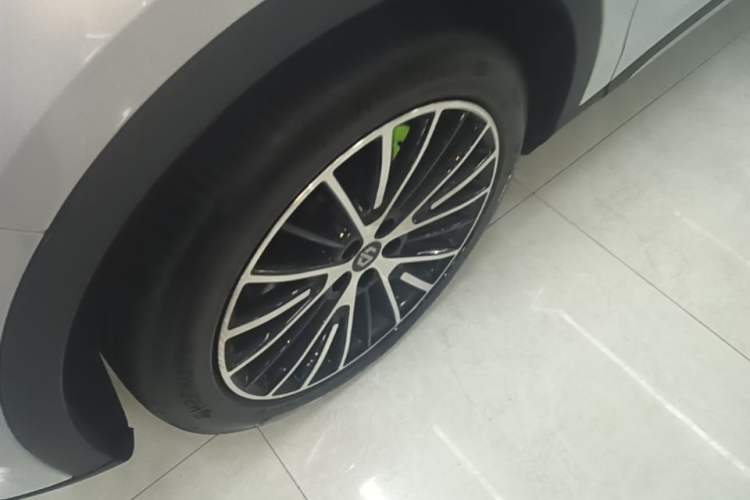 Used Leapmotor C11 2026 All-Electric 640 LiDAR Prestige Edition Exterior 4