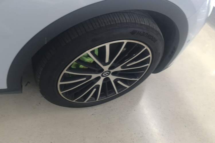 Used Leapmotor C11 2026 All-Electric 640 LiDAR Prestige Edition Exterior 5
