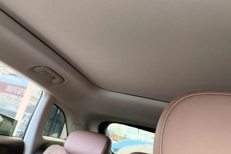 Used Leapmotor C11 2026 All-Electric 640 LiDAR Edition Headliner