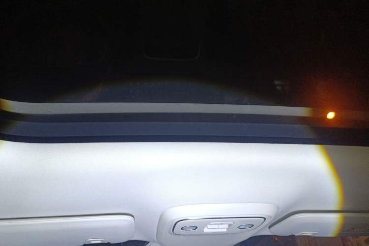 Used Leapmotor C11 2026 All-Electric 640 LiDAR Edition Headliner