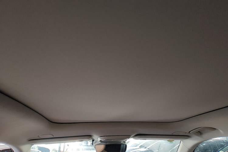 Used Leapmotor C11 2026 All-Electric 640 LiDAR Prestige Edition Headliner