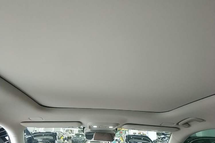 Used Leapmotor C11 2026 All-Electric 640 LiDAR Prestige Edition Headliner