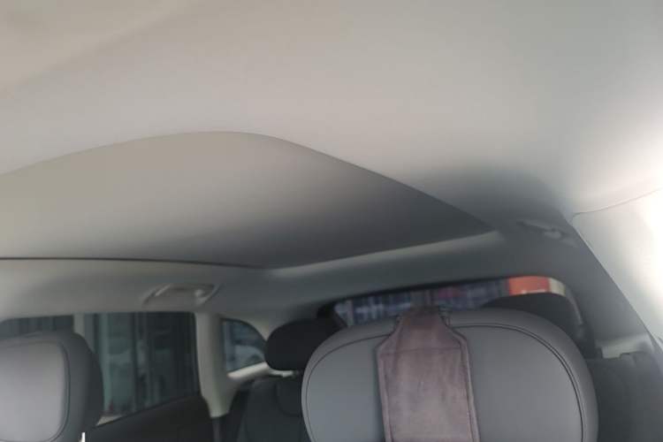 Used Leapmotor C11 2026 All-Electric 640 LiDAR Edition Headliner