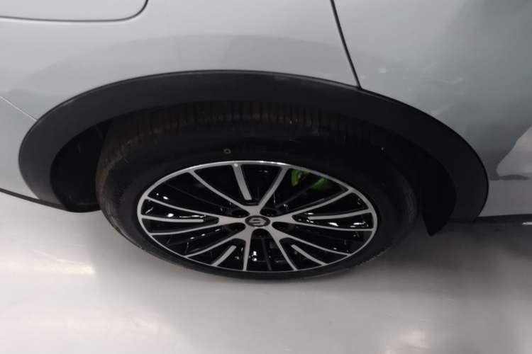 Used Leapmotor C11 2026 Range-Extended 300 LiDAR Prestige Edition Right Rear Wheel Hub