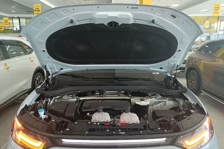 Used Leapmotor C11 2026 Range-Extended 300 LiDAR Prestige Edition Engine Bay