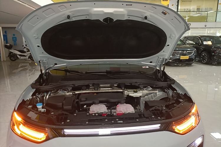 Used Leapmotor C11 2026 Range-Extended 300 LiDAR Prestige Edition Engine Bay