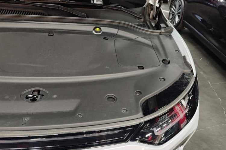 Used Leapmotor C11 2026 All-Electric 640 LiDAR Prestige Edition Engine Bay Left