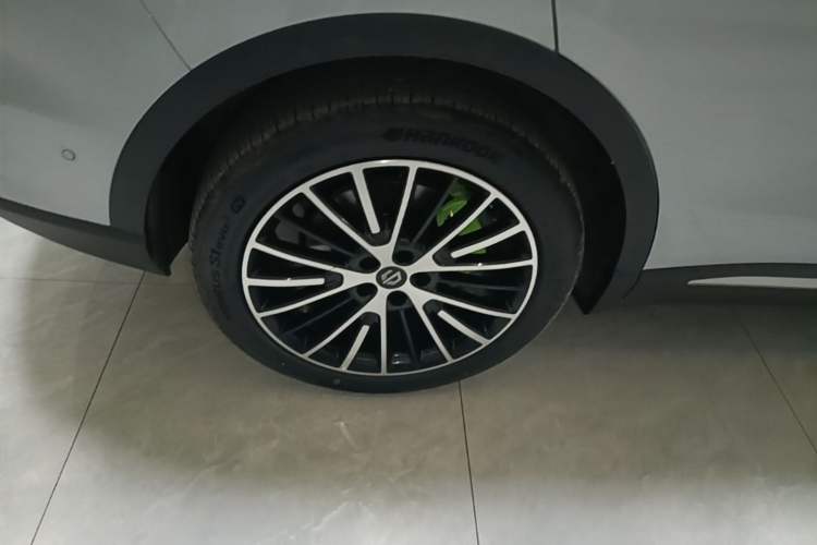 Used Leapmotor C11 2026 Range-Extended 300 LiDAR Prestige Edition Exterior 5