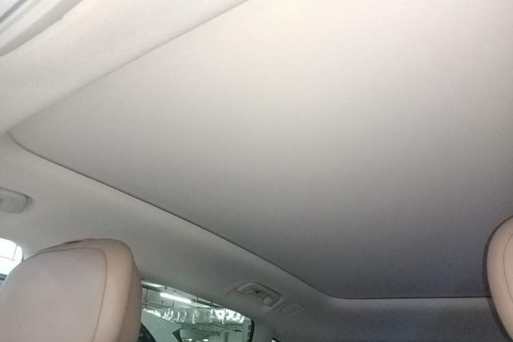 Used Leapmotor C11 2026 All-Electric 640 LiDAR Prestige Edition Headliner