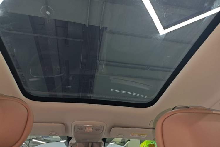 Used Leapmotor C11 2026 All-Electric 640 LiDAR Prestige Edition Headliner