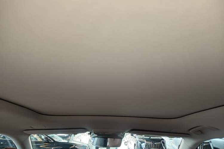 Used Leapmotor C11 2026 All-Electric 640 LiDAR Prestige Edition Headliner
