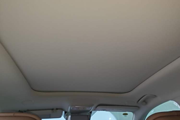 Used Leapmotor C11 2026 All-Electric 640 LiDAR Prestige Edition Headliner