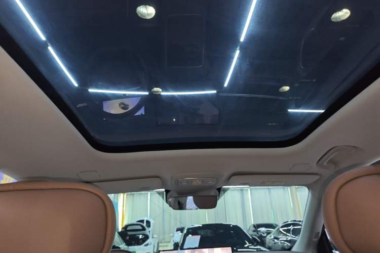 Used Leapmotor C11 2026 All-Electric 640 LiDAR Prestige Edition Headliner