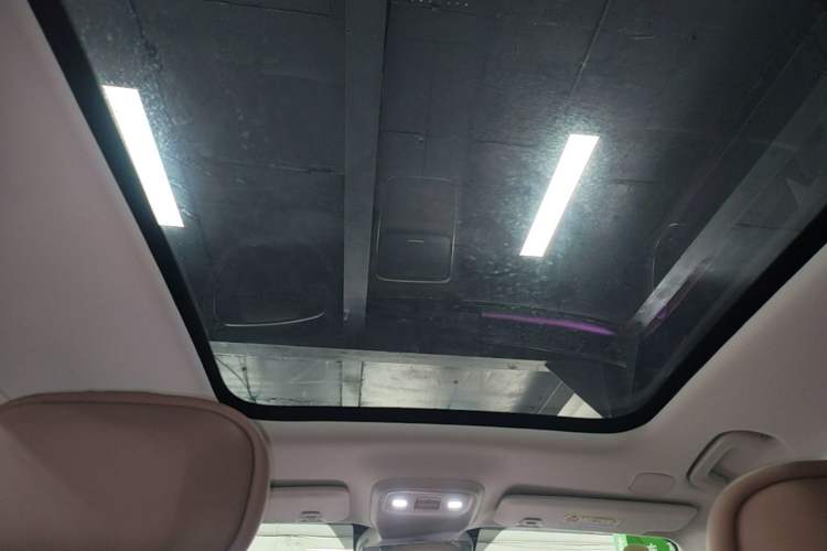 Used Leapmotor C11 2026 All-Electric 640 LiDAR Prestige Edition Headliner