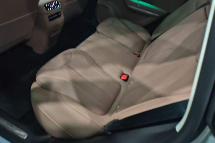 Used Leapmotor C11 2026 All-Electric 640 LiDAR Prestige Edition Left Rear Seat