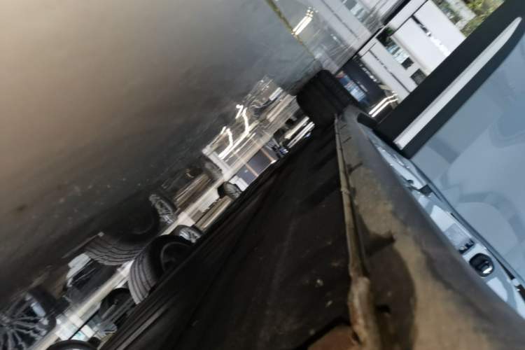 Used Leapmotor C11 2026 Range-Extended 300 LiDAR Edition Right Side Sill