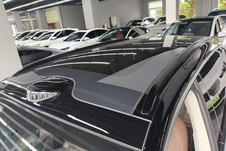 Used Leapmotor C11 2026 All-Electric 640 LiDAR Prestige Edition Roof