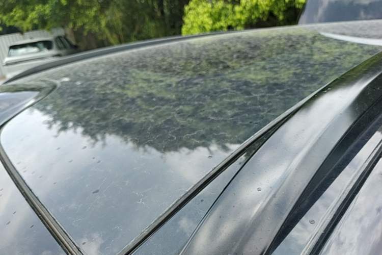 Used Leapmotor C11 2026 All-Electric 640 LiDAR Prestige Edition Roof