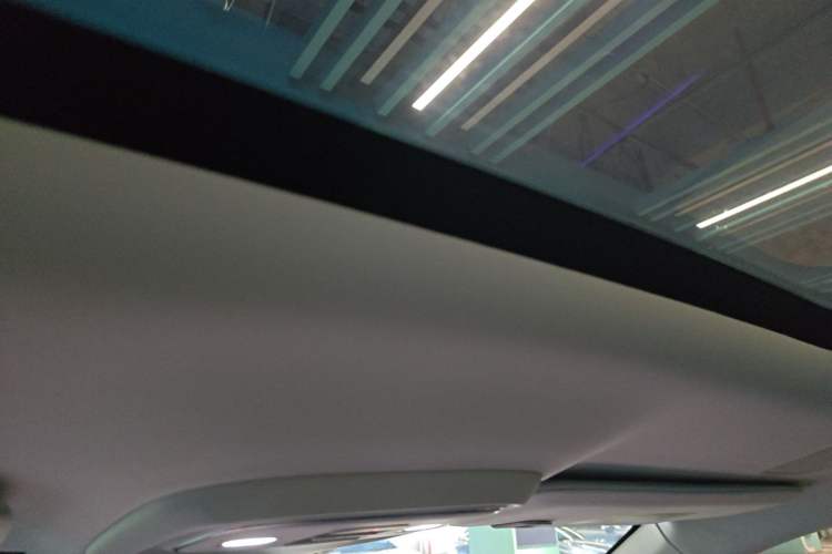 Used Leapmotor C11 2026 Range-Extended 300 LiDAR Prestige Edition Headliner
