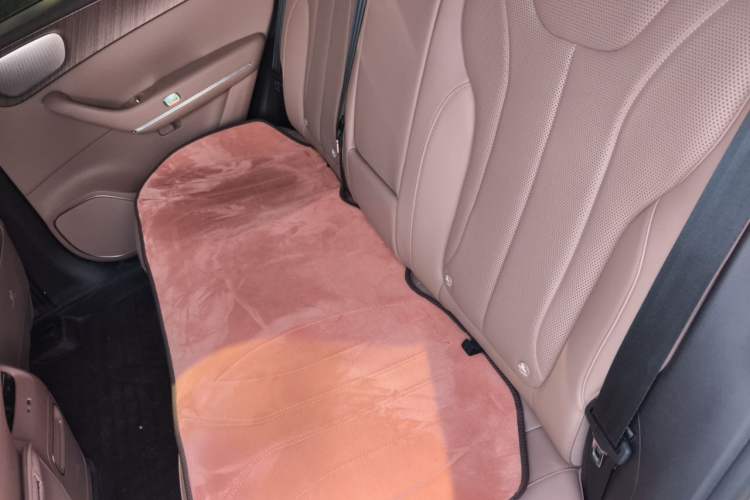Used Leapmotor C11 2026 All-Electric 640 LiDAR Edition Left Rear Seat