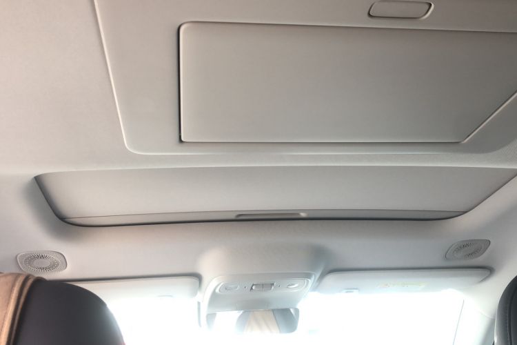 Used Leapmotor C16 2024 Pure Electric 520 Deluxe Edition Headliner