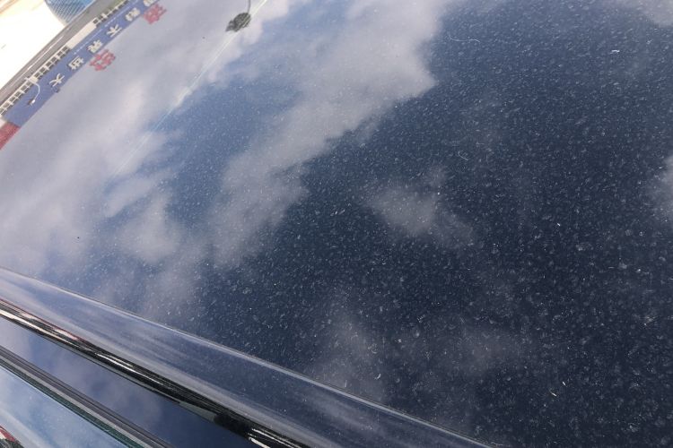 Used Leapmotor C16 2024 Pure Electric 520 Deluxe Edition Roof