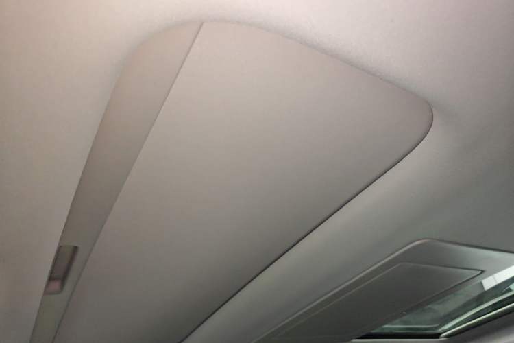 Used Leapmotor C16 2024 Pure Electric 520 Deluxe Edition Headliner