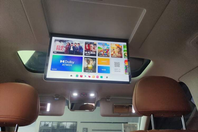 Used Leapmotor C16 2024 Range-Extended 200 Luxury Edition Headliner