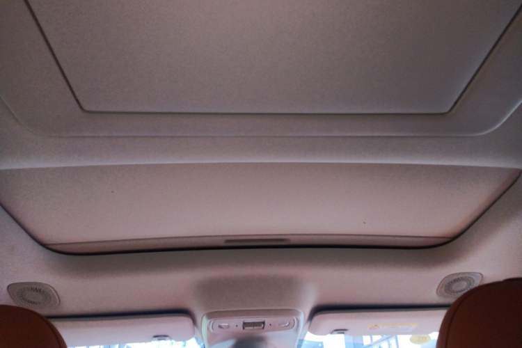Used Leapmotor C16 2024 Pure Electric 520 Deluxe Edition Headliner