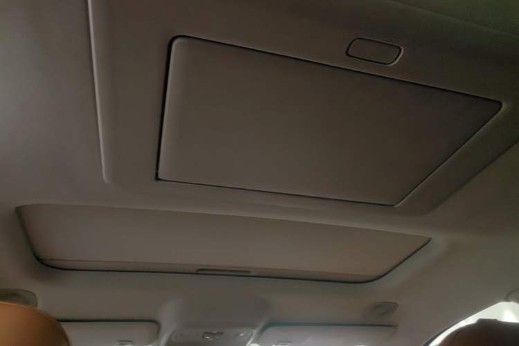 Used Leapmotor C16 2024 Pure Electric 520 Deluxe Edition Headliner